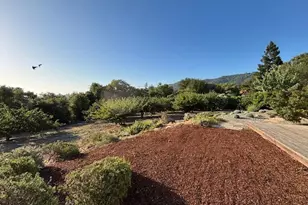 25900 Vinedo, Los Altos Hills, CA 94022 - Photo 3