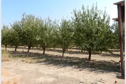 7861 Whitworth Rd, Gustine, CA 95322 - Photo 9