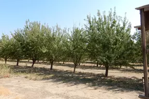 7861 Whitworth Rd, Gustine, CA 95322 - Photo 9