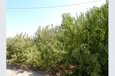 7861 Whitworth Rd, Gustine, CA 95322 - Photo 5