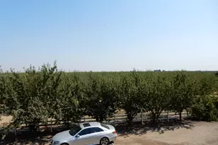 7861 Whitworth Rd, Gustine, CA 95322 - Photo 3