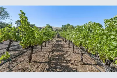 1295 Lions Peak Ln, San Martin, CA 95046 - Photo 3