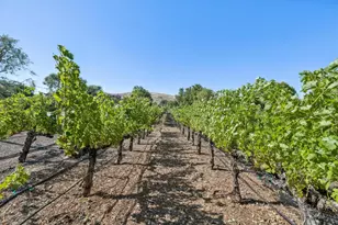 1295 Lions Peak Ln, San Martin, CA 95046 - Photo 3