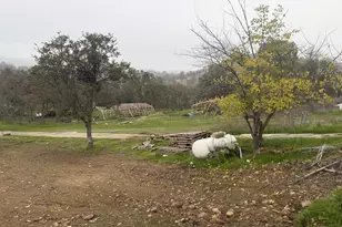 2461 Quail Oaks Rd, Valley Springs, CA 95252 - Photo 5