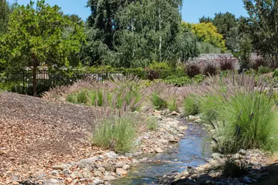 6 Bay Tree, Los Altos, CA 94022 - Photo 43