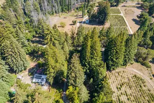 6790 Bonny Doon Rd, Santa Cruz, CA 95060 - Photo 41