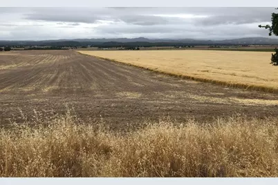 50325 Paulsen Rd, Lockwood, CA 93932 - Photo 19