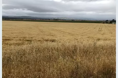 50325 Paulsen Rd, Lockwood, CA 93932 - Photo 17
