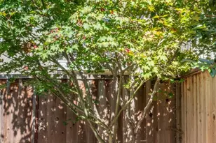 1363 Sarita Way, Santa Clara, CA 95051 - Photo 61