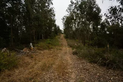 0 Valle Pacifico Rd, Salinas, CA 93907 - Photo 23