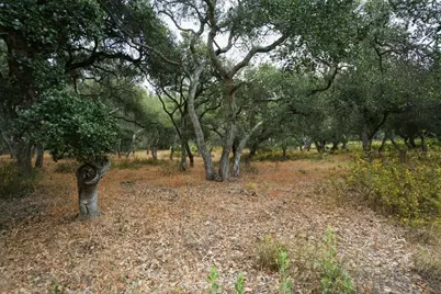 0 Valle Pacifico Rd, Salinas, CA 93907 - Photo 25