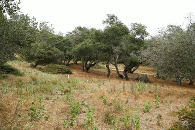 0 Valle Pacifico Rd, Salinas, CA 93907 - Photo 11