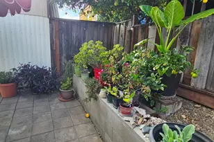 Contento Dr, Watsonville, CA 95076 - Photo 25