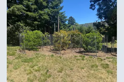 Black Rd, Los Gatos, CA 95033 - Photo 43
