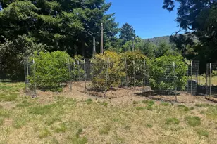 Black Rd, Los Gatos, CA 95033 - Photo 43