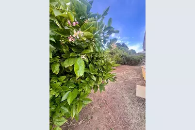 16158 Via Walter, San Lorenzo, CA 94580 - Photo 21