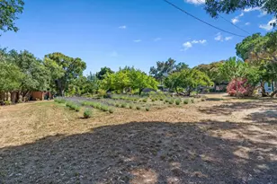 9465 Watsonville Rd, Gilroy, CA 95020 - Photo 57