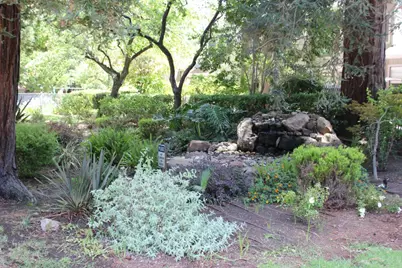 228 Flynn Ave, Mountain View, CA 94043 - Photo 43
