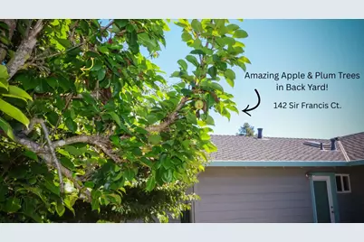 142 Sir Francis Ct, Capitola, CA 95010 - Photo 33