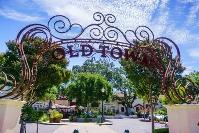21546 Alma Ct, Los Gatos, CA 95033 - Photo 51