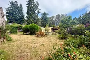 905 Pinetree Ln, Aptos, CA 95003 - Photo 1
