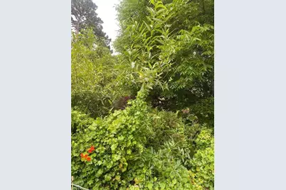 Dell Rd, Pacifica, CA 94044 - Photo 41