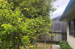 Dell Rd, Pacifica, CA 94044 - Photo 37
