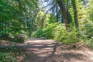 315 Harmon St, Boulder Creek, CA 95006 - Photo 17