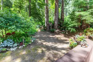 315 Harmon St, Boulder Creek, CA 95006 - Photo 9