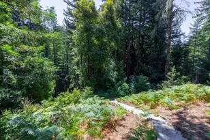 505 Thin Edge Rd, Santa Cruz, CA 95065 - Photo 39