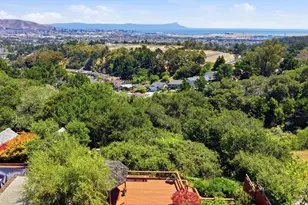 3381 Crestmoor Dr, San Bruno, CA 94066 - Photo 57