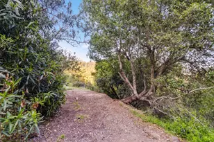 251 Starlight Terrace, Santa Cruz, CA 95065 - Photo 33