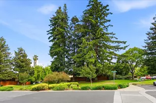 4713 Malero Pl, San Jose, CA 95129 - Photo 33