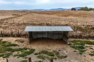 433 Mansfield Rd, Hollister, CA 95023 - Photo 41