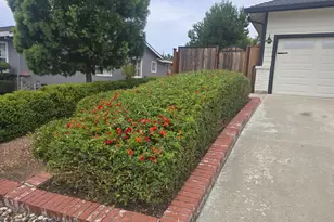 1405 S Ridgemark Dr, Hollister, CA 95023 - Photo 9