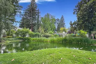 19220 Vineyard Ln, Saratoga, CA 95070 - Photo 35