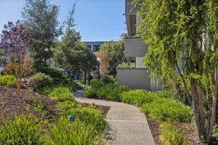 10 Scenic Way 307, San Mateo, CA 94403 - Photo 49
