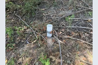 19179 Skyline Blvd, Los Gatos, CA 95033 - Photo 13