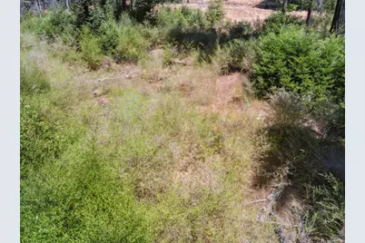 Lot 03 &amp; 06 Branson Rnch, Boulder Creek, CA 95006 - Photo 15