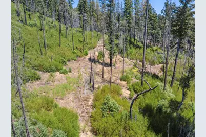 Lot 03 &amp; 06 Branson Rnch, Boulder Creek, CA 95006 - Photo 5