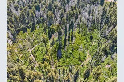 Lot 03 &amp; 06 Branson Rnch, Boulder Creek, CA 95006 - Photo 25