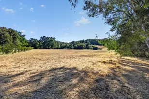 1195 Partrick Rd, Napa, CA 94558 - Photo 91