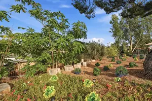 4334 Cowell Rd, Concord, CA 94518 - Photo 41