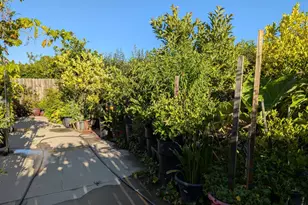 2517 Jayden Way, Stockton, CA 95212 - Photo 23