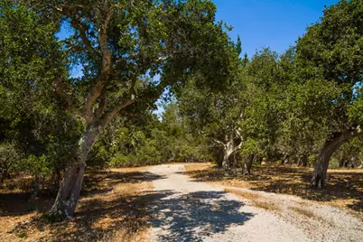 25600 Via Malpaso, Carmel, CA 93923 - Photo 3