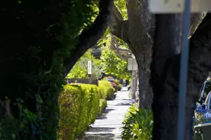 1715 Ralston Ave, Burlingame, CA 94010 - Photo 59
