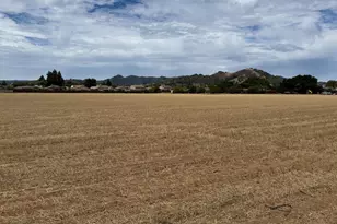 15195 Olive Ave, Morgan Hill, CA 95037 - Photo 21