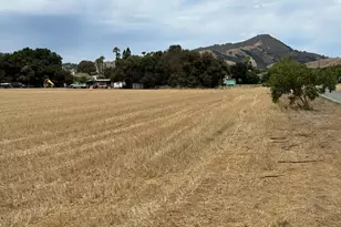 15195 Olive Ave, Morgan Hill, CA 95037 - Photo 1