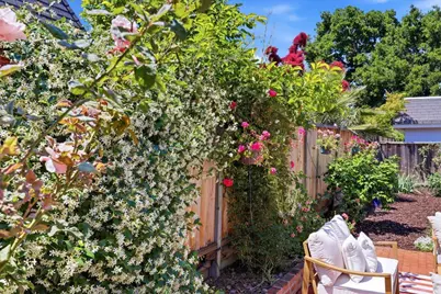 1689 Luika Pl, Campbell, CA 95008 - Photo 47