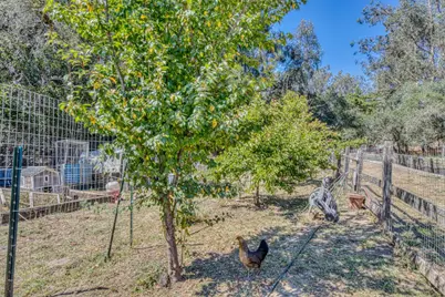 202 Carneros Ave, Aromas, CA 95004 - Photo 11